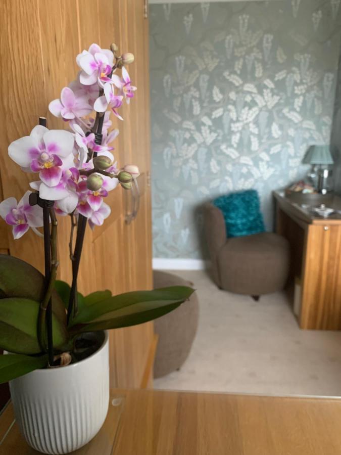 Ramsey House - Luxury Licensed B&B - Parking And Guest Lounge 圣大卫 外观 照片