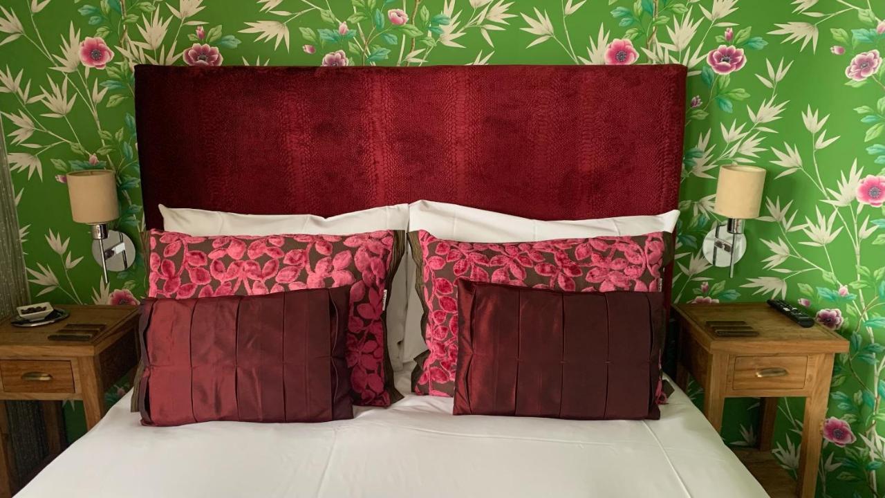 Ramsey House - Luxury Licensed B&B - Parking And Guest Lounge 圣大卫 外观 照片